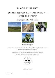 Cultivation is the same pests common to currants in europe and north america include the currant clearwing moth. Pdf Black Currant Ribes Nigrum L An Insight Into The Crop