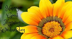 Touch device users, explore by touch or with swipe gestures. Best Good Morning Wednesday Wishes Images And Greetings 2020