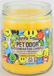 Pet odor exterminator candle orange lemon splash. Pet Odor Exterminator Candle Happy Days Pet Odors Happy Day Unique Candles
