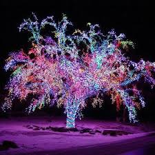 Pin By Dawn Hodges Fawcett On Fun And Cool Stuff Christmas Lights Wallpaper Purple Christmas Christmas Tree Lighting