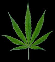 We offer both express and regular shipping (regular delivery: Mops Coffeeshop Cannabis Store Shopping In Krakow Krakow