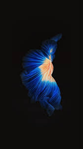Apple Live Photo Ios9 Dark Blue Iphone 7 Wallpaper Live Wallpaper Iphone Iphone 6s Wallpaper Apple Wallpaper Iphone