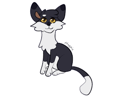 (just like crow) she isn't aggressive, but she will puff up and arch her back in her best halloween cat impression. Magpie Cat By Sulfiormoon On Deviantart