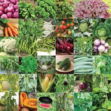 Plus, you can throw away all those nutritional supplements (big saving there) organically grown vegetables are full of all the vitamins and. Pyramid Seeds Indian Vegetable Seeds Bank For Home Garden 35 Varieties 1675 Seeds Buy Online In United Arab Emirates At Desertcart Ae Productid 144208208