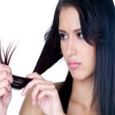 Splitends Remides 1 Massage The Scalp With Natural Oils Such As Coconut Avocado Or Olive Oil B Hair Treatment Damaged Hair Treatment Natural Hair Treatments