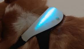 Resultado de imagen para inupathy