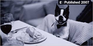 All star pets white bear lake. Who Invited The Dog The New York Times