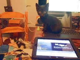 Hier findet moderne technik einzug in ein nostalgisch anmutendes gehäuse. Wer Hat S Erfunden Die Katzenklappe Radio Kreta