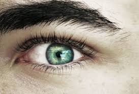 Pin By Brisa Arce On Eyes Green Eyes Brown Hair Green Eyes Pretty Eyes