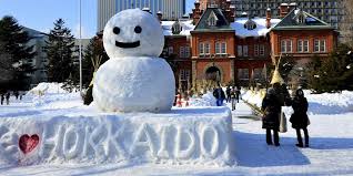 Hokkaido's Winter Wonderland Pesona Salju di Pulau Utara Jepang