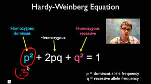 Any changes in the gene frequencies in the population over time can be detected. Solving Hardy Weinberg Problems Youtube