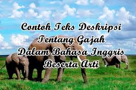 Contoh Teks Deskripsi Tentang Gajah Dalam Bahasa Inggris Beserta Arti Bahasa Inggris Bahasa Inggris