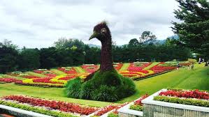 Salah satu liburan yang paling di minati setiap orang yaitu dengan pergi ke suatu tempat dimana di temapt itu terdapat suatu keindahan dan suasana sejuk seperti di gunung ataupun di air terjun. Harga Tiket Masuk Taman Bunga Nusantara Juni 2021 Wisatakaka