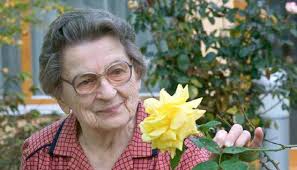 AKTUELL B L U D E N Z