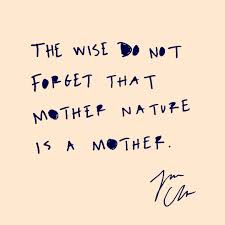 Let S Take Care Of Each Other Cleowade Nature Quotes Happy Words Words Of Encouragement