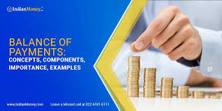 Balance Of Payments Concepts Components And Importance Concept Balance Components