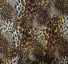 Maybe you would like to learn more about one of these? Leopard Print 1080p 2k 4k 5k Hd Wallpapers Free Download Wallpaper Flare