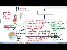 Apakah mengukur suhu dengan tangan itu akurat? Explore To Koh S Science World Blog Sains Kawal Atur Suhu Badan