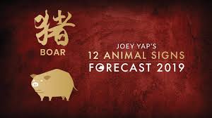 2019 Animal Sign Forecast Boar Joey Yap Youtube