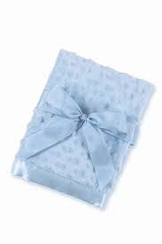 Light Blue Personalized Minky Dot Baby Blanket The Couture Baby Child Boutique