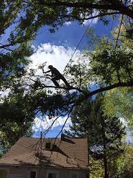 Please call the store for exact opening hours. Bozeman Pest Control Home Facebook