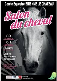 Le concours d'envergure international au salon du cheval de montpellier : Salon Du Cheval Sortir Dans L Aube