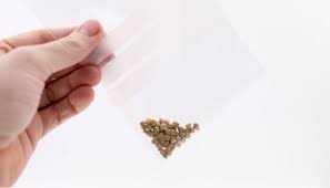 If another round of stimulus checks gets a green light from congress and trump, the next question is how quickly that money could land in americans' bank. Fact Finding Gallstones Vs Kidney Stones Unitypoint Health