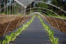 • 76long straight wire can be easily bent to form hoops. Galvanized Wire Hoops For Low Tunnels For Plasticulture Dubois Agrinovation Us