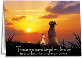 A gentle farewell wants to make your pet's passing as peaceful as possible for. Euthanasia