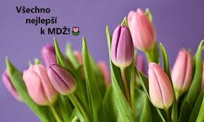25% sleva na fotodárky oslavte den žen originálním dárkem kód: Svatek Mdz 2021 Prani Basnicky A Obrazky Rexter Cz