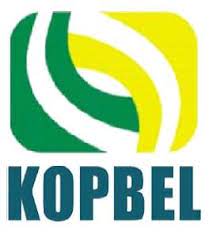 Pembangunan daerah adalah pemanfaatan sumber daya yang dimiliki untuk peningkatan kesejahteraan masyarakat yang nyata, baik dalam aspek pendapatan, kesempatan kerja, lapangan berusaha, akses terhadap pengambilan kebijakan, berdaya saing, maupun peningkatan indeks. Koperasi Pembangunan Ekonomi Belia Daerah Langkawi Berhad Kopbel å¸–å­ Facebook