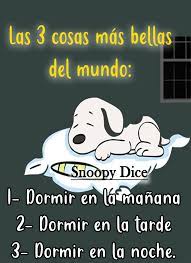 Lo Mas Bello Dormir Frases De Buen Humor Frases Divertidas Frases Tiernas De Buenas Noches