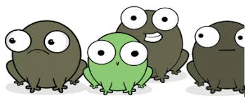 You will need an mrna chart for many of these questions. Https Www Amoebasisters Com Uploads 2 1 9 0 21902384 Video Recap Of Genetic Drift By Amoeba Sisters V3 Pdf