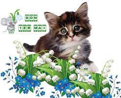 Résultat de recherche d'images pour "gif 1er mai"