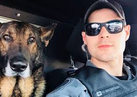 Guelph Police Service dog General retires after 8 years with the service
