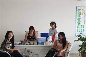 emlak park plus vip sektor