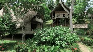 Les om necoclí i wikipedia. Ecoturismo La Salida Que Le Encontraron A La Guerra En Esta Vereda Del Uraba Pacifista