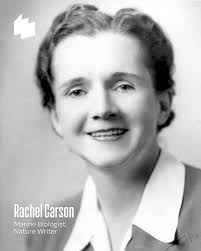 A marine biologist and nature writer, Rachel Carson catalyzed the global  environmental movement with her 1962 book Silent Spring. Outlining the  dangers of chemical pesticides, the book led to a nationwide ban