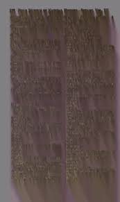 Image result for Buchnera longispicata