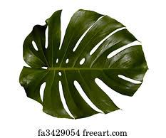 Palm leaf template printable vastuuonminun sketch coloring. Free Palm Leaf Art Prints And Wall Artwork Freeart