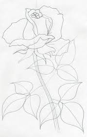 How To Draw A Rose Bush How To Wiki 89 The latest tutorial over there is: how to draw a rose bush how to wiki 89