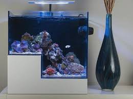 Lokasinya yang strategis membuat bandara dan pelabuhan hongkong menjadi tempat transit bebas pajak sebelum barang dagangan, didistribusikan dari dan menuju china daratan, jepang, dan korea. Jasa Pembuatan Aquarium Air Laut
