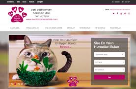 Www Evcilhayvanbakicisi Com Evcil Hayvanlar Veterinerler Ve Hayvan