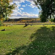 Coal Lake South Campground - Wetaskiwin, Alberta