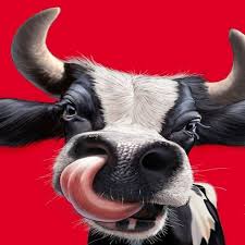 Cool Cow Cow Art Modern Wall Art Canvas Animal Paintings