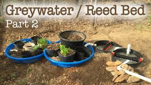 greywater reed bed filtration system