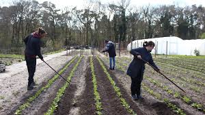 Systemsprenger kinostart ganzer film deutsch 2019 Blockbayer Home Facebook