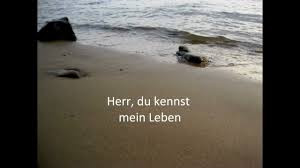 Herr Du Kennst Mein Leben Unvergessliche Geistliche Lieder Und Melodien Lasst Uns Singen Spielen Tanzen Und Frohlic Christliche Lieder Lieder Lobpreis