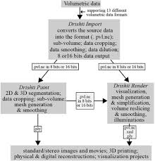 The kaal vijay ratna also came out but disappeared when divya and drishti touched hands. A New Tool For 3d Segmentation Of Computed Tomography Data Drishti Paint And Its Applications Biorxiv