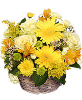 Help celebrate the next and biggest chapter in their lives with one of our. Mother S Day Flowers Chesapeake Va Greenbrier Florist Inc
